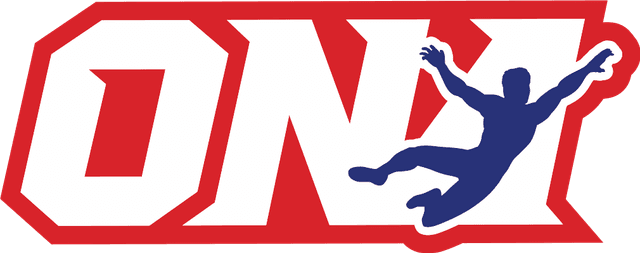 Obstacle Ninja Academy